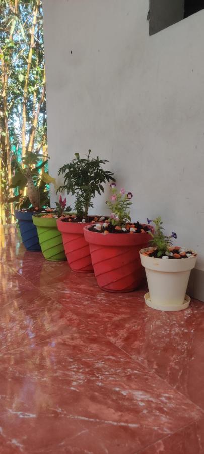 Mahabs Homestay Villa Mahabalipuram Εξωτερικό φωτογραφία